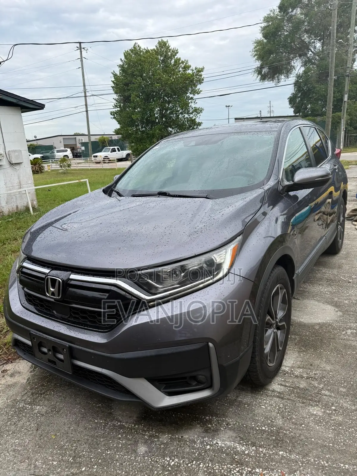 Honda CR-V EX 2021 Gray