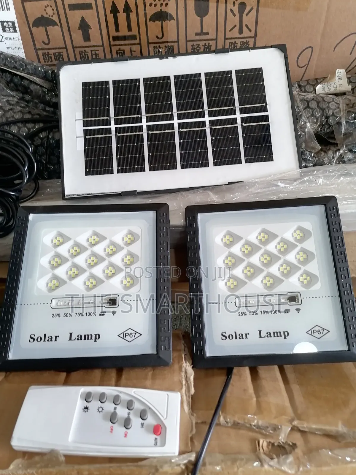 100Watt Solar Floodlight