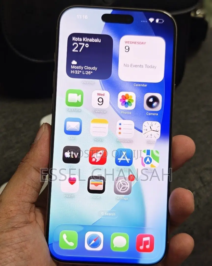 Apple iPhone 16 Pro Max 256 GB Silver