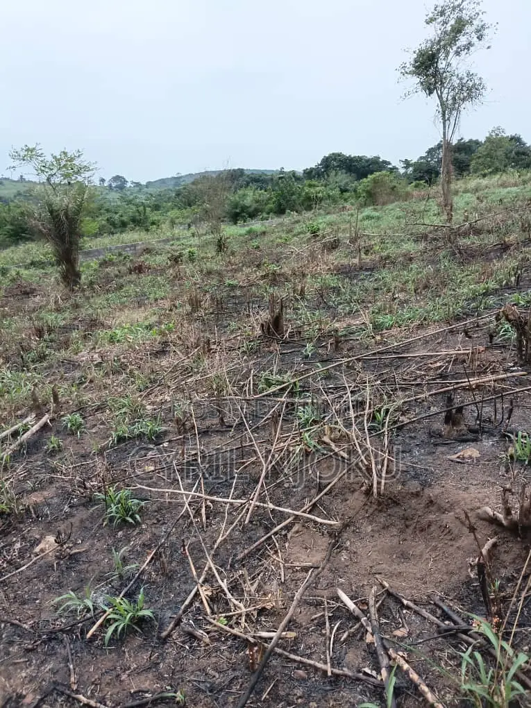 Plot of Land for Sale in Aburi Tutu