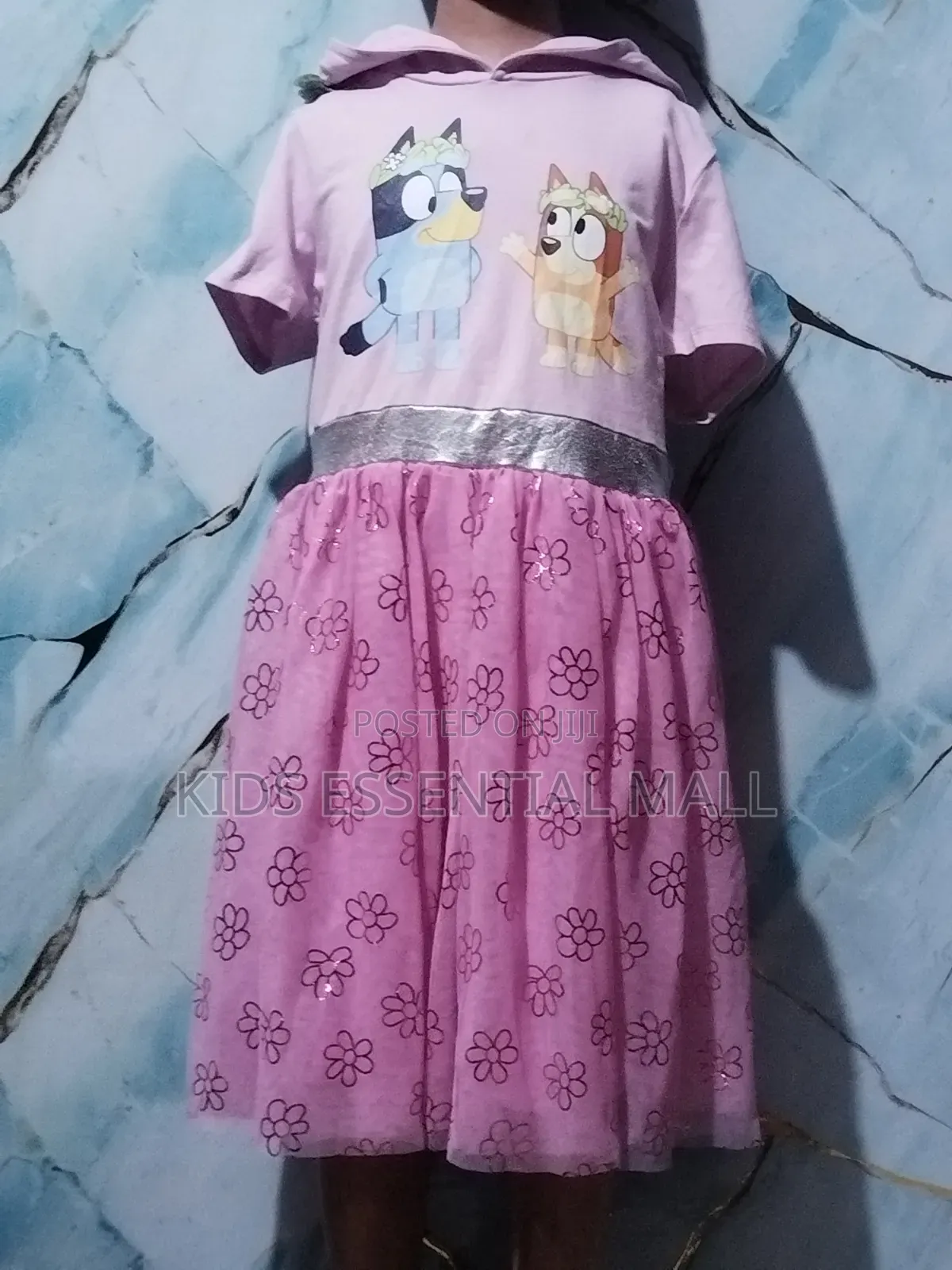 Pink Bluey and Bingo Cartoon Dress for Kids