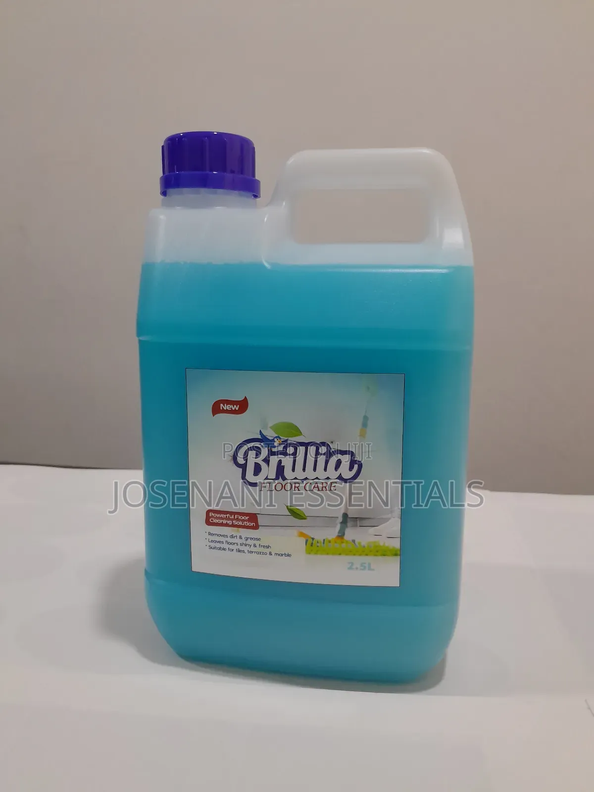 Brillia FloorCare Liquid Floor Cleaner 2.5L – Accra, Ghana