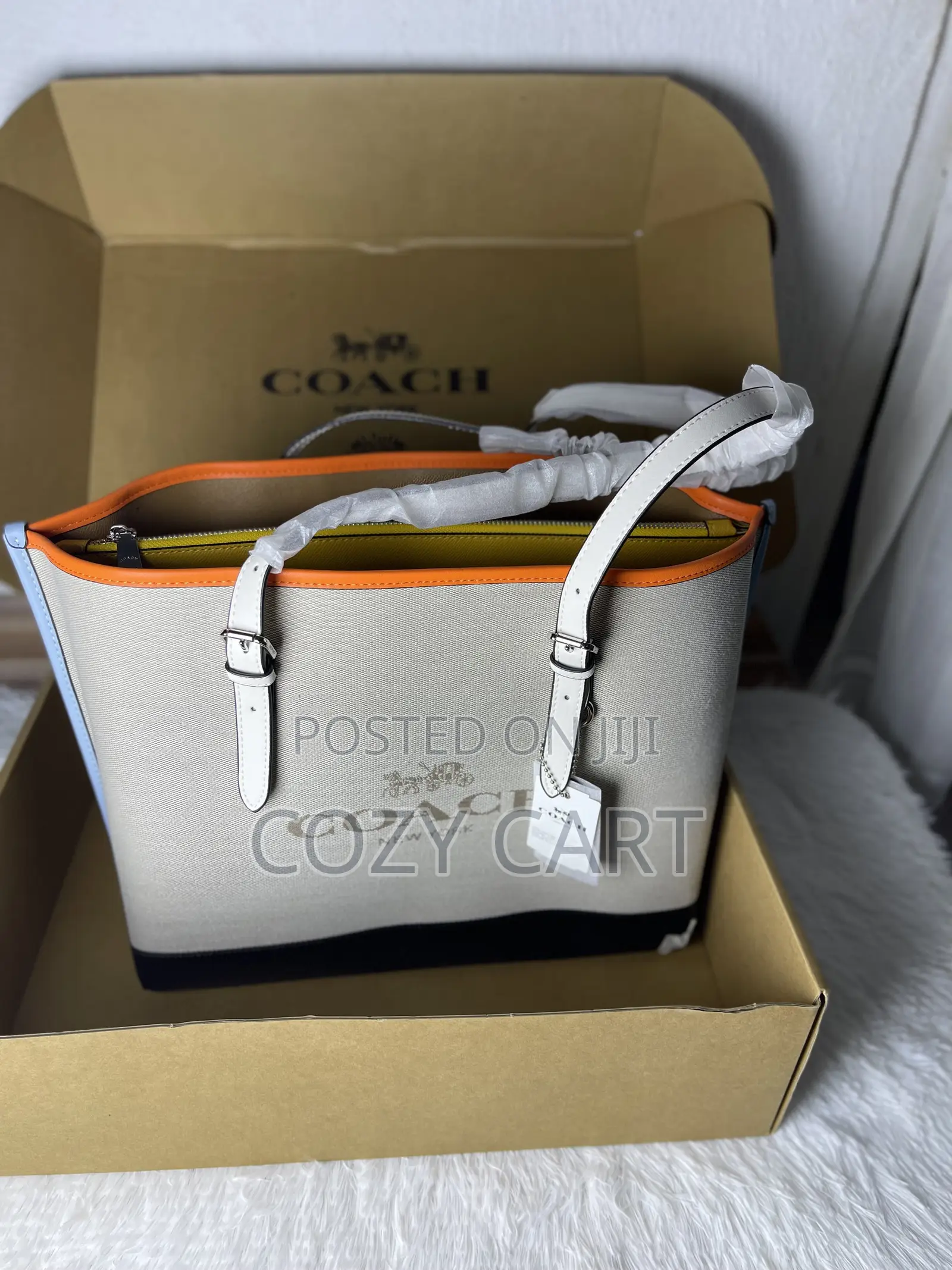 Coach Luxury Tote Bag