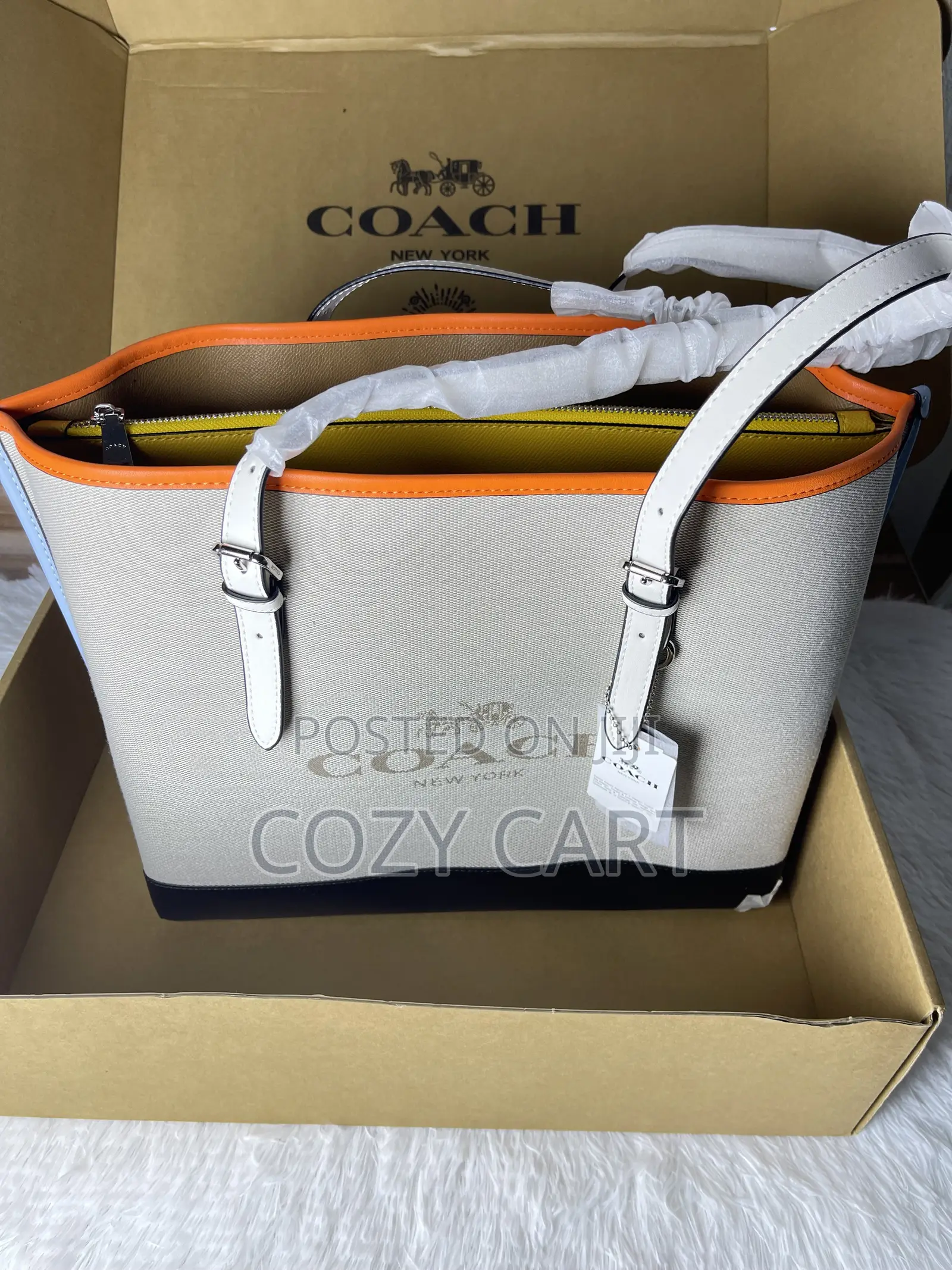 Coach Luxury Tote Bag