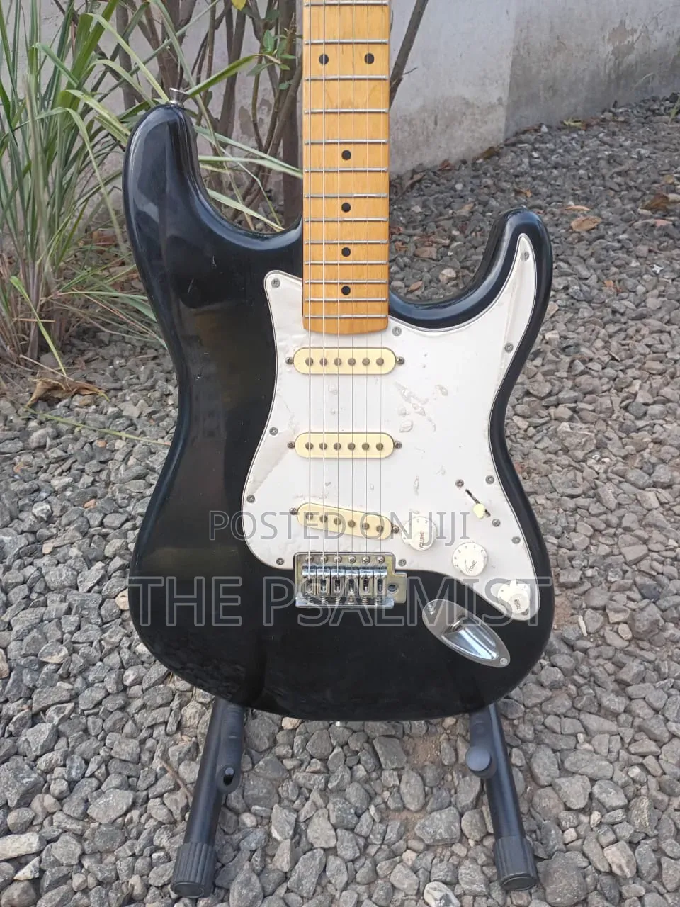 PhotoGenic Stractocaster Guitar