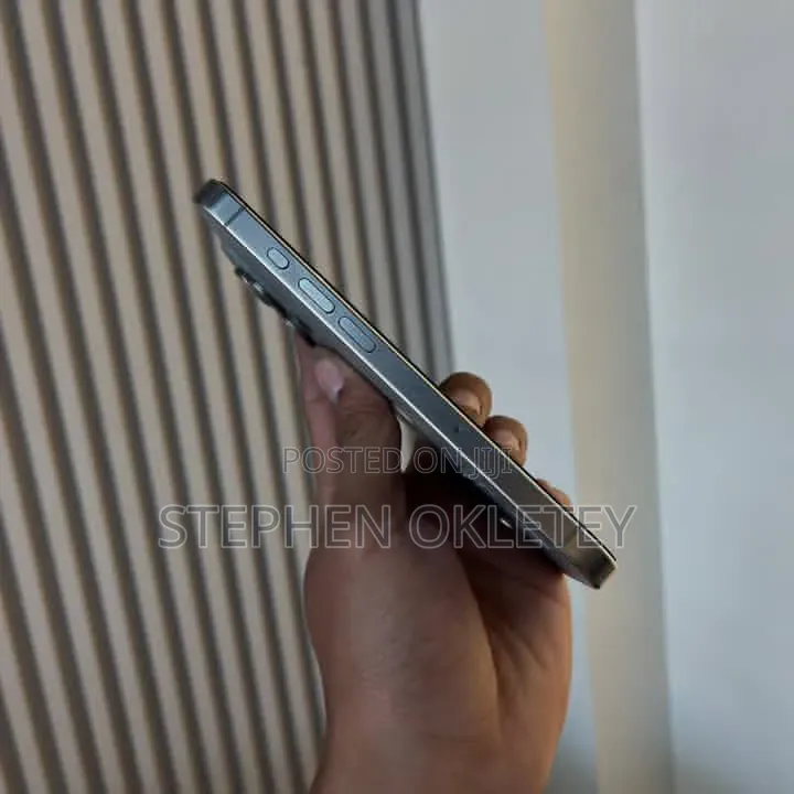 Apple iPhone 15 Pro Max 256 GB Silver