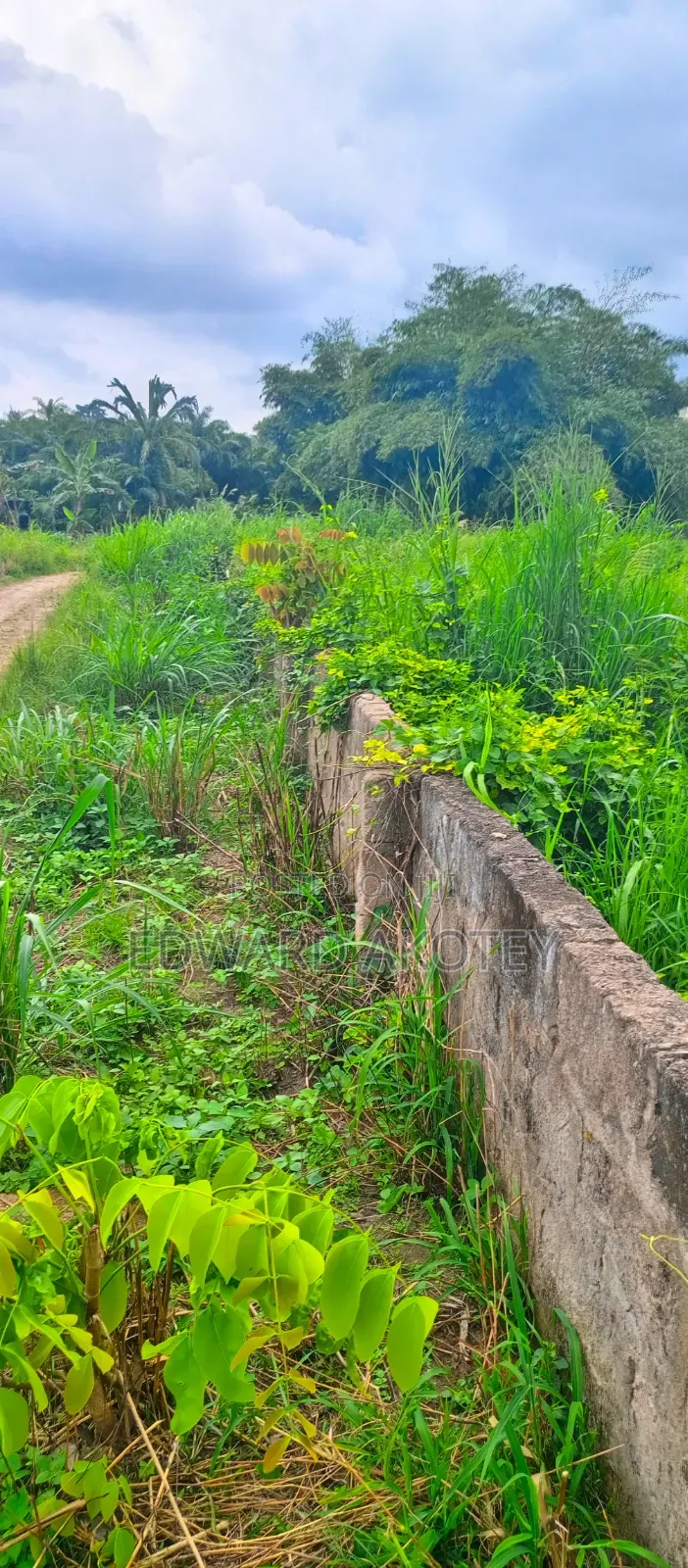 Land for Sale at UHAS Roundabout Off to the Main Campus