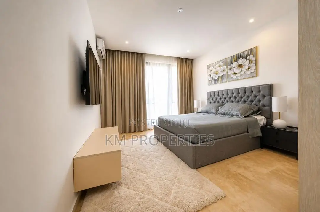 Fully-Furnished 1 Bedroom Hall in Cantonments