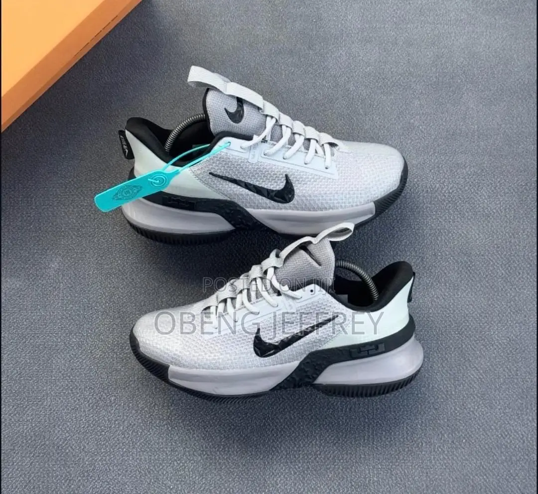 Original Nike LeBron Ambassador Grey