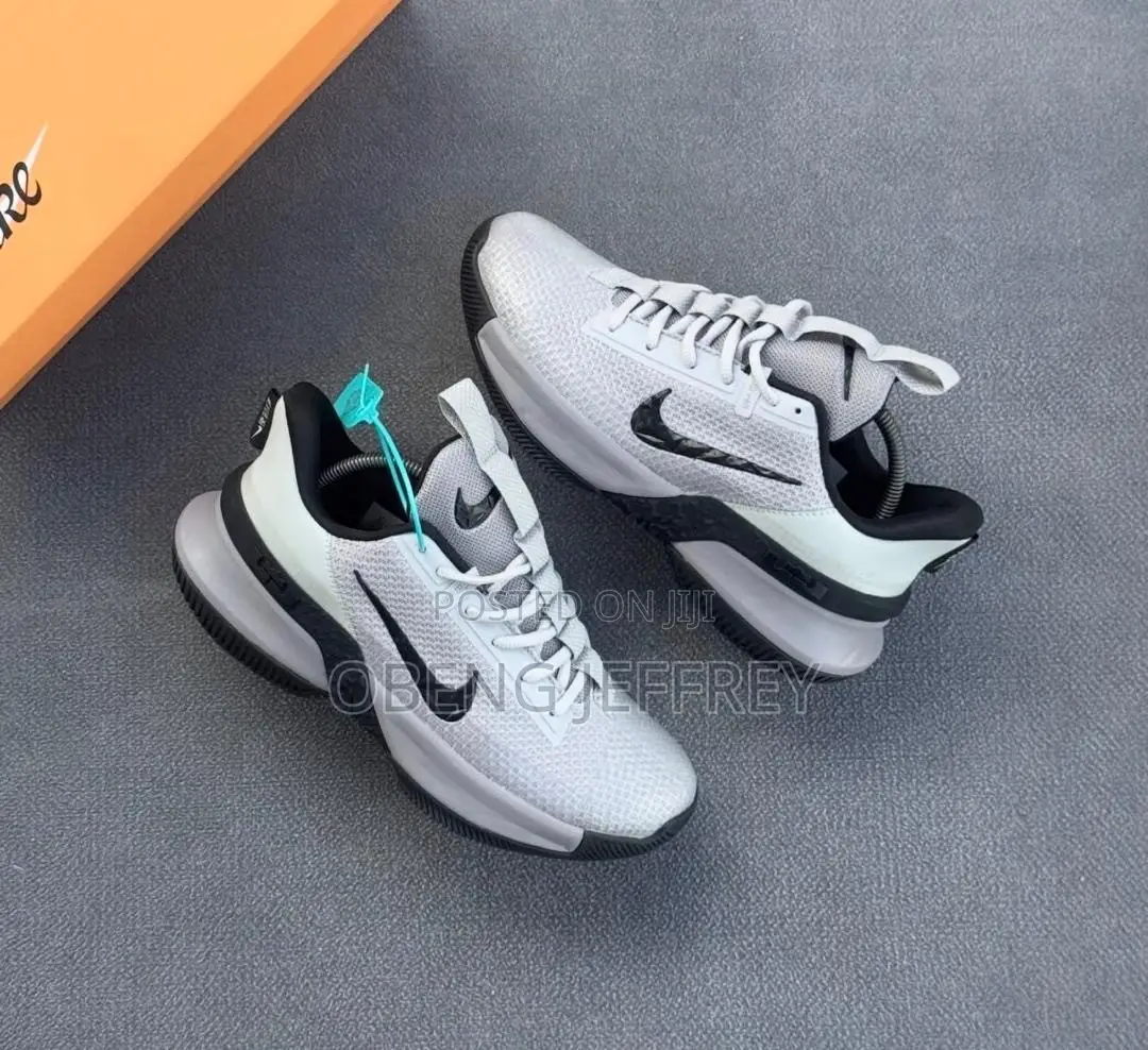 Original Nike LeBron Ambassador Grey