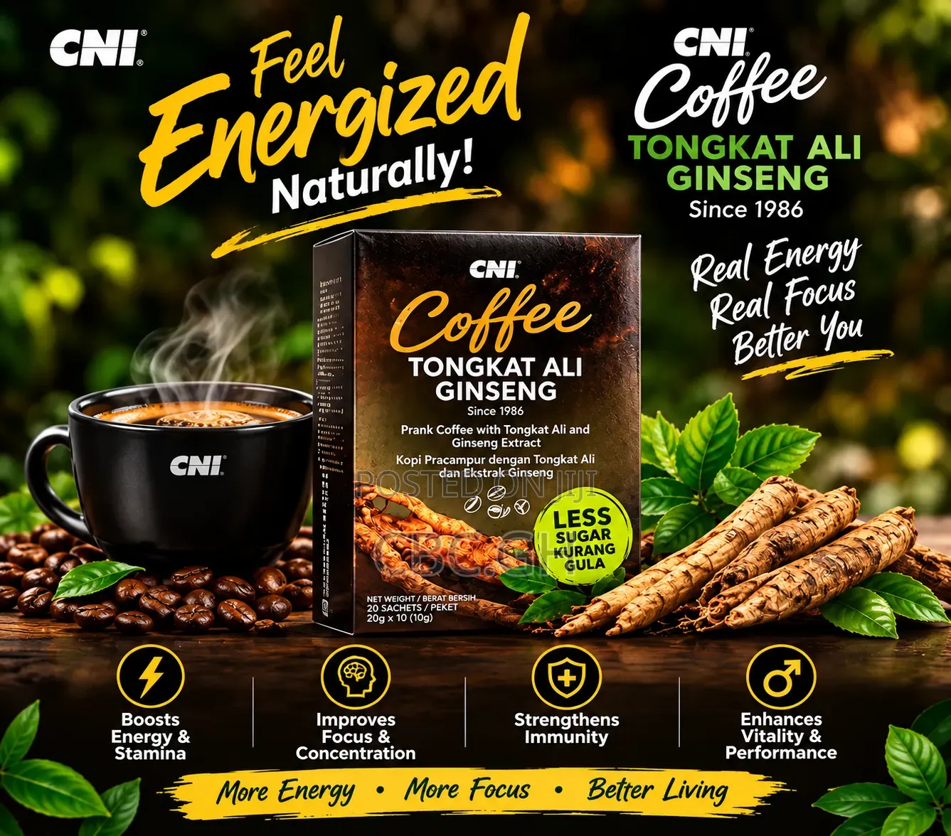 Tongkat Ali Ginseng Coffee Low Sugar