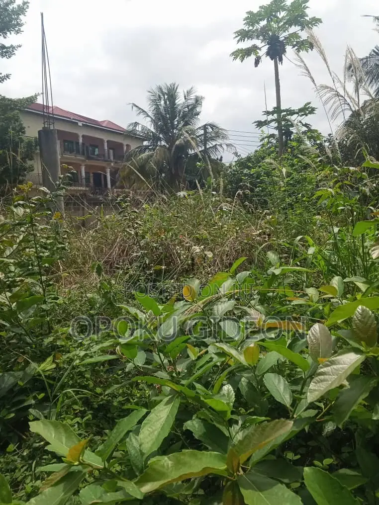 Half Plot of Land for Sale at Olebu Canada
