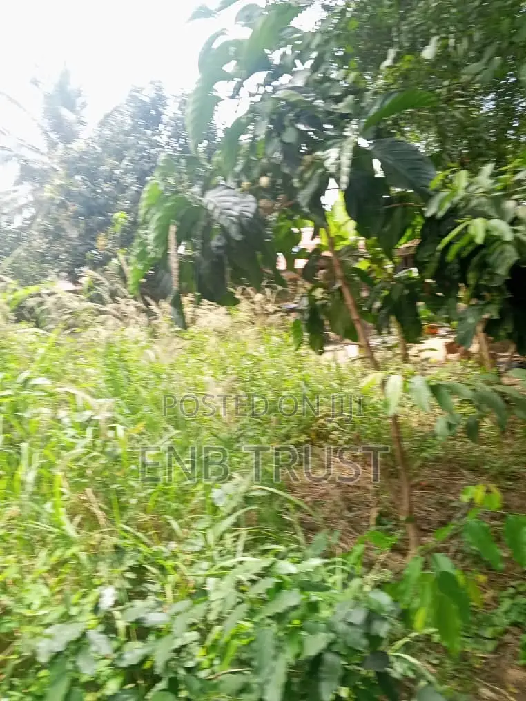 Half Plot of Land for Sale at Pokuase Canada