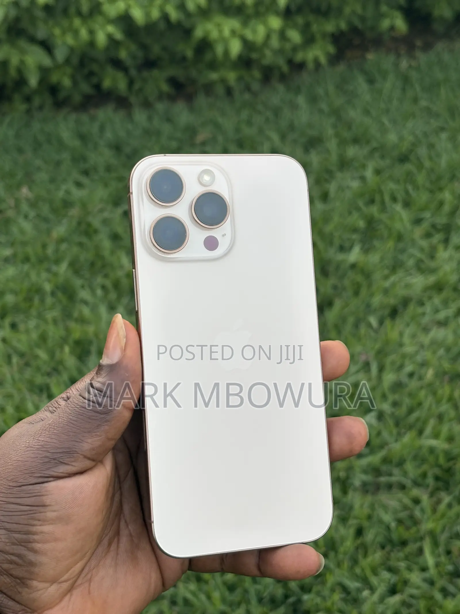 Apple iPhone 16 Pro Max 256 GB Gold