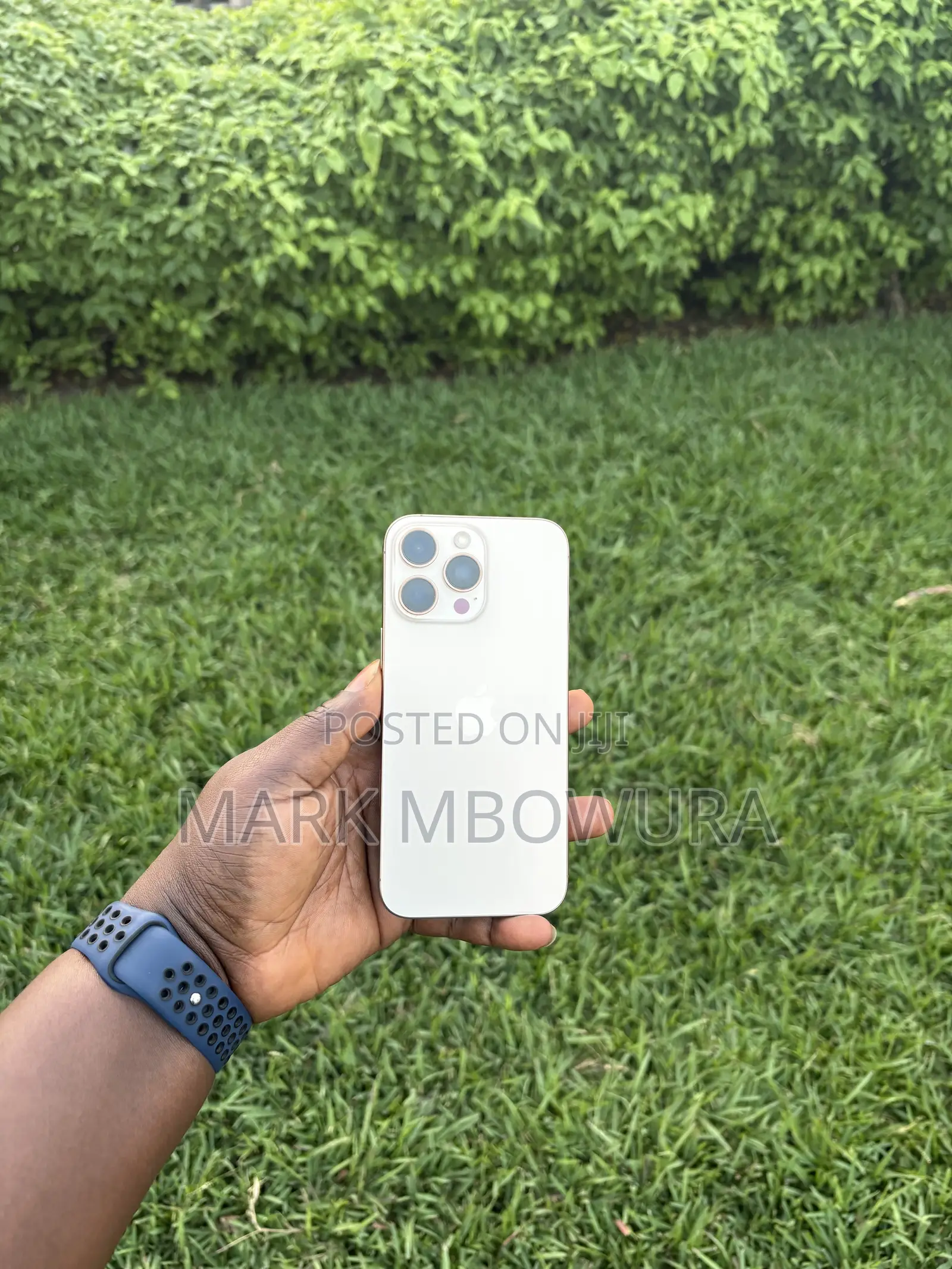 Apple iPhone 16 Pro Max 256 GB Gold