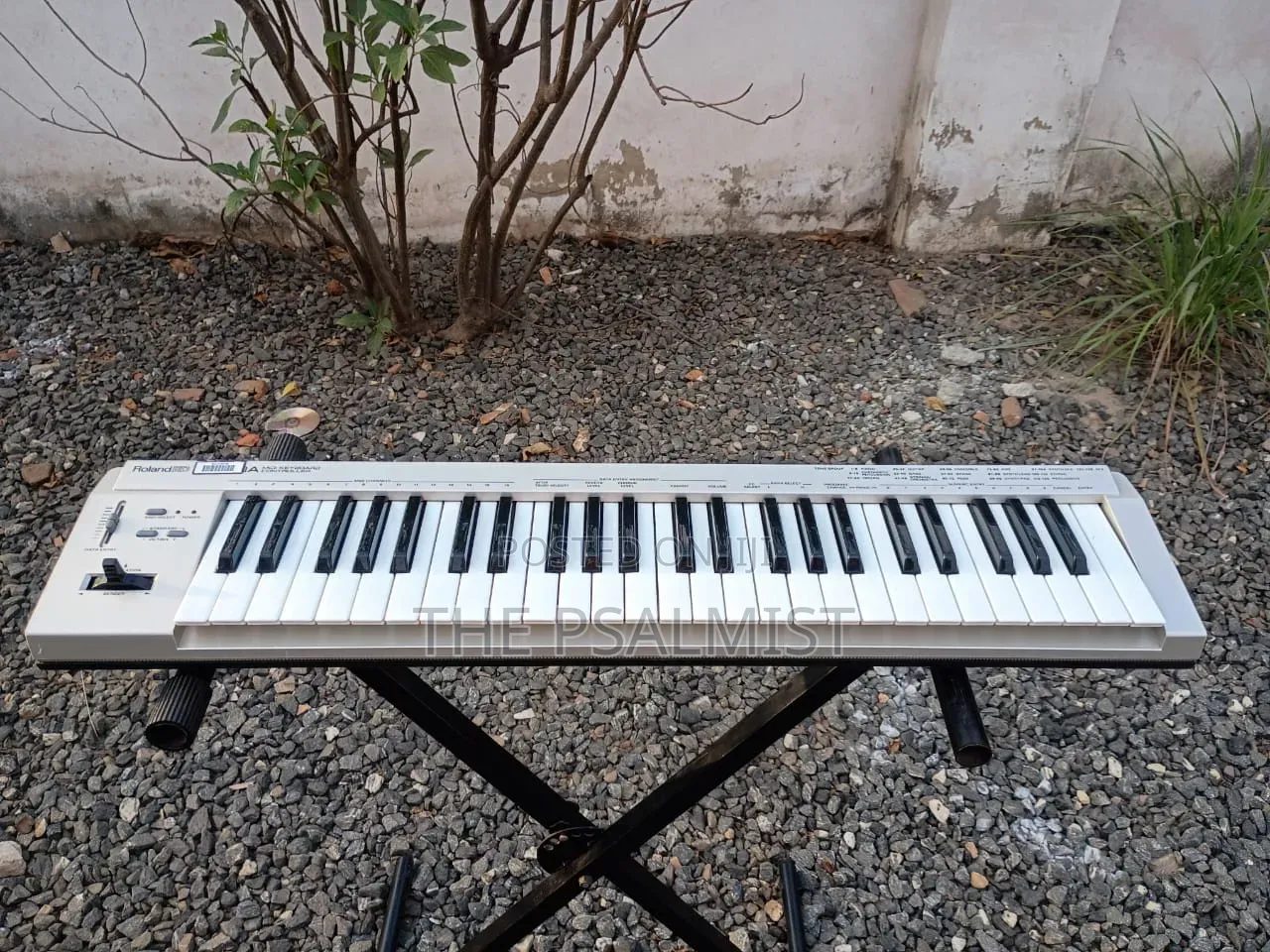 Roland ED 180A Midi Keyboard Controller