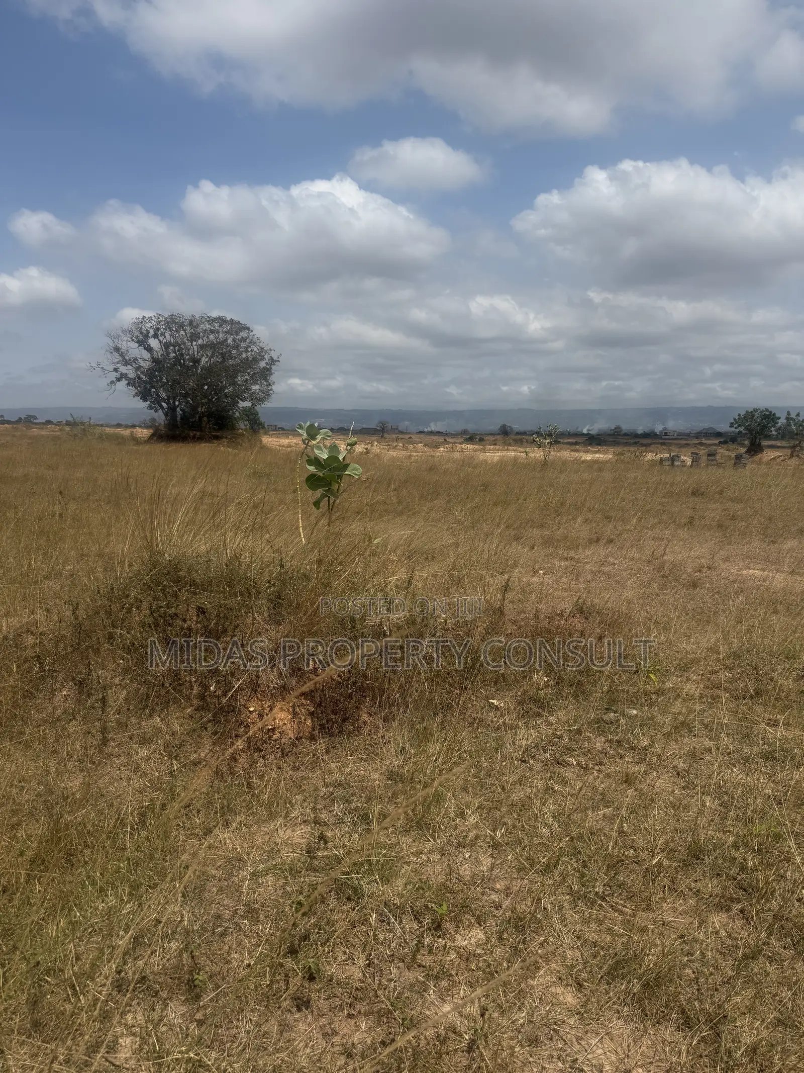 4 Plots of Land for Sale at Afienya Mobole