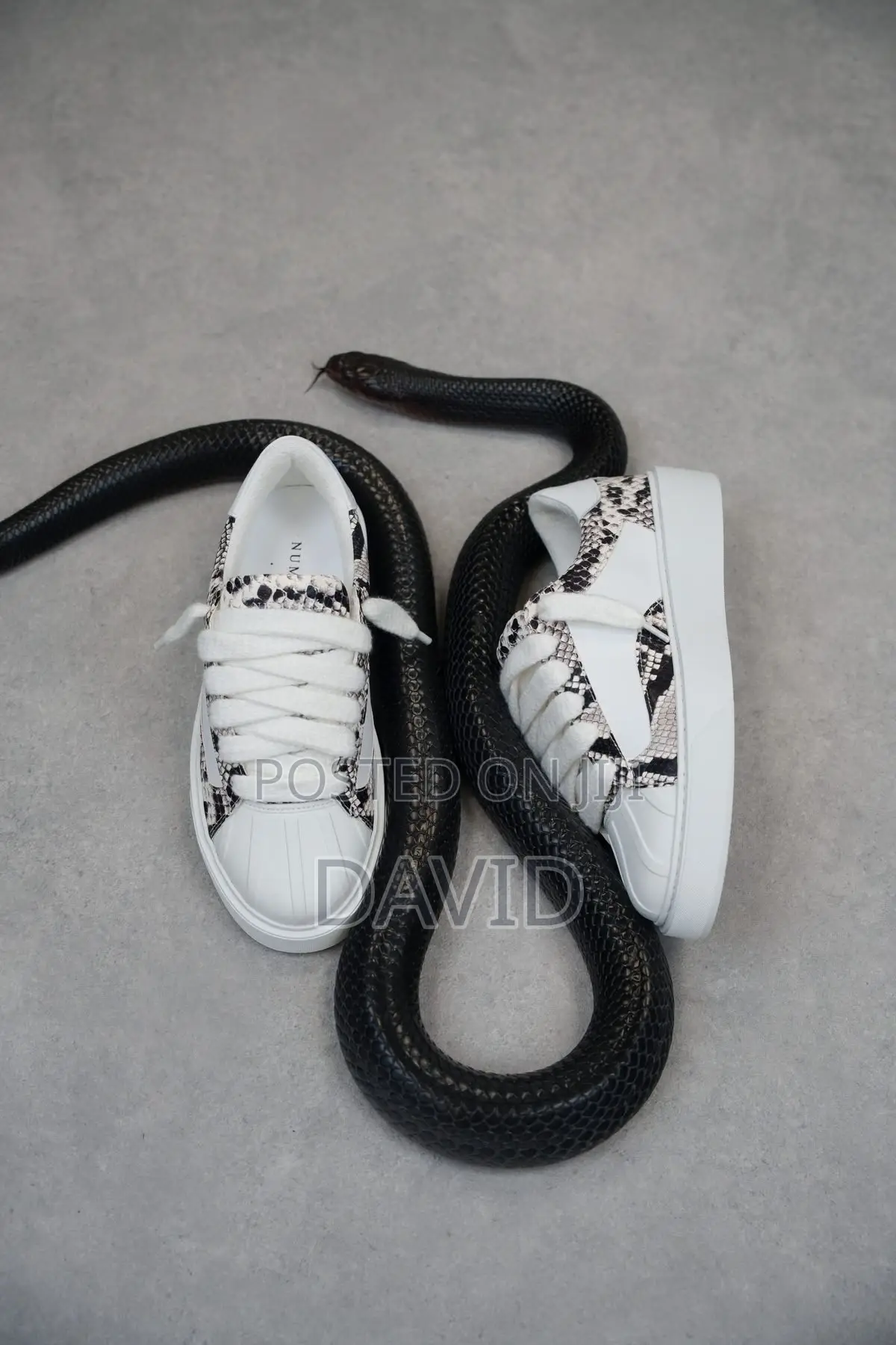 Numeris Eclipse Python White