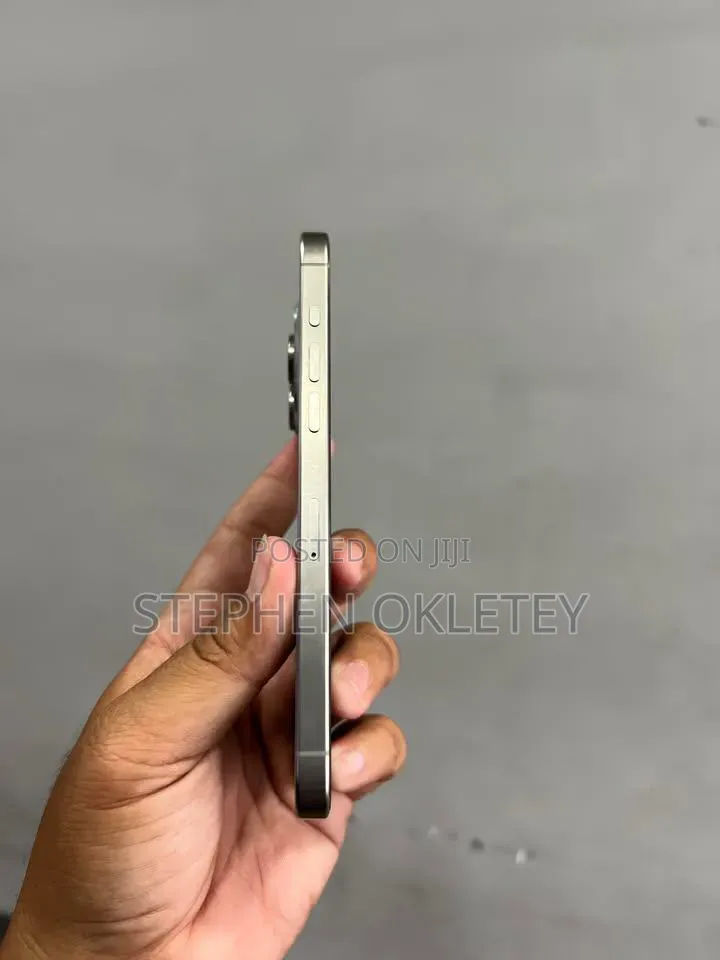 Apple iPhone 15 Pro Max 256 GB Silver