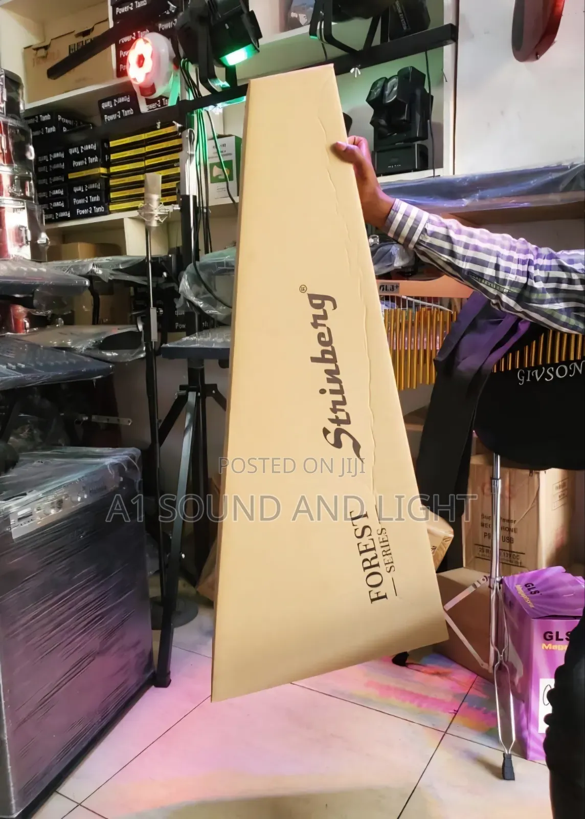 Strinberg Forest FS1A MGS Artistic Electroacoustic Guitar
