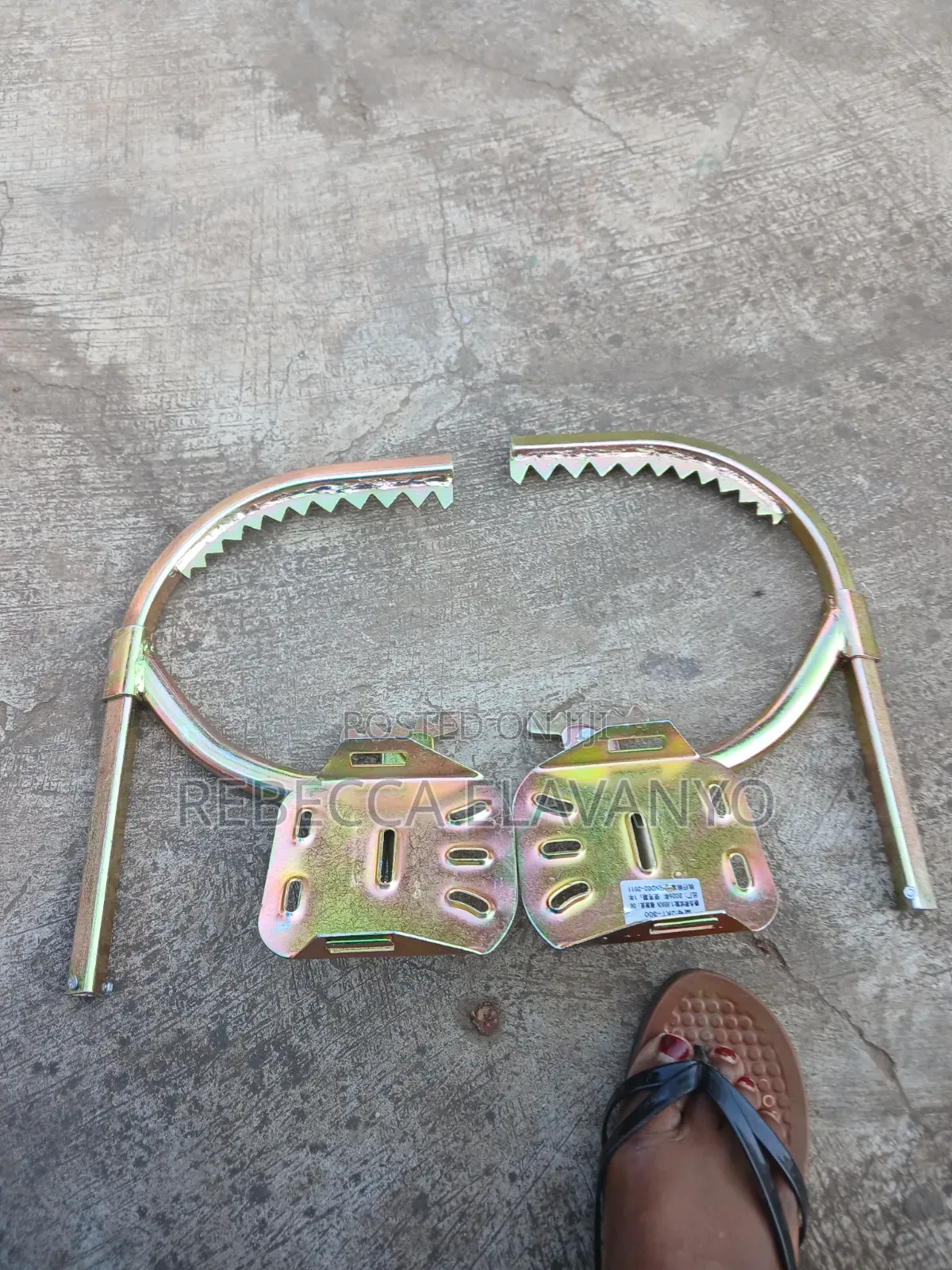 Climbing Shoe