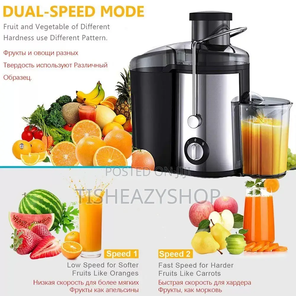 Electric Juicer