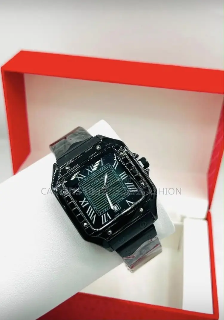 Cartier Santos Watch