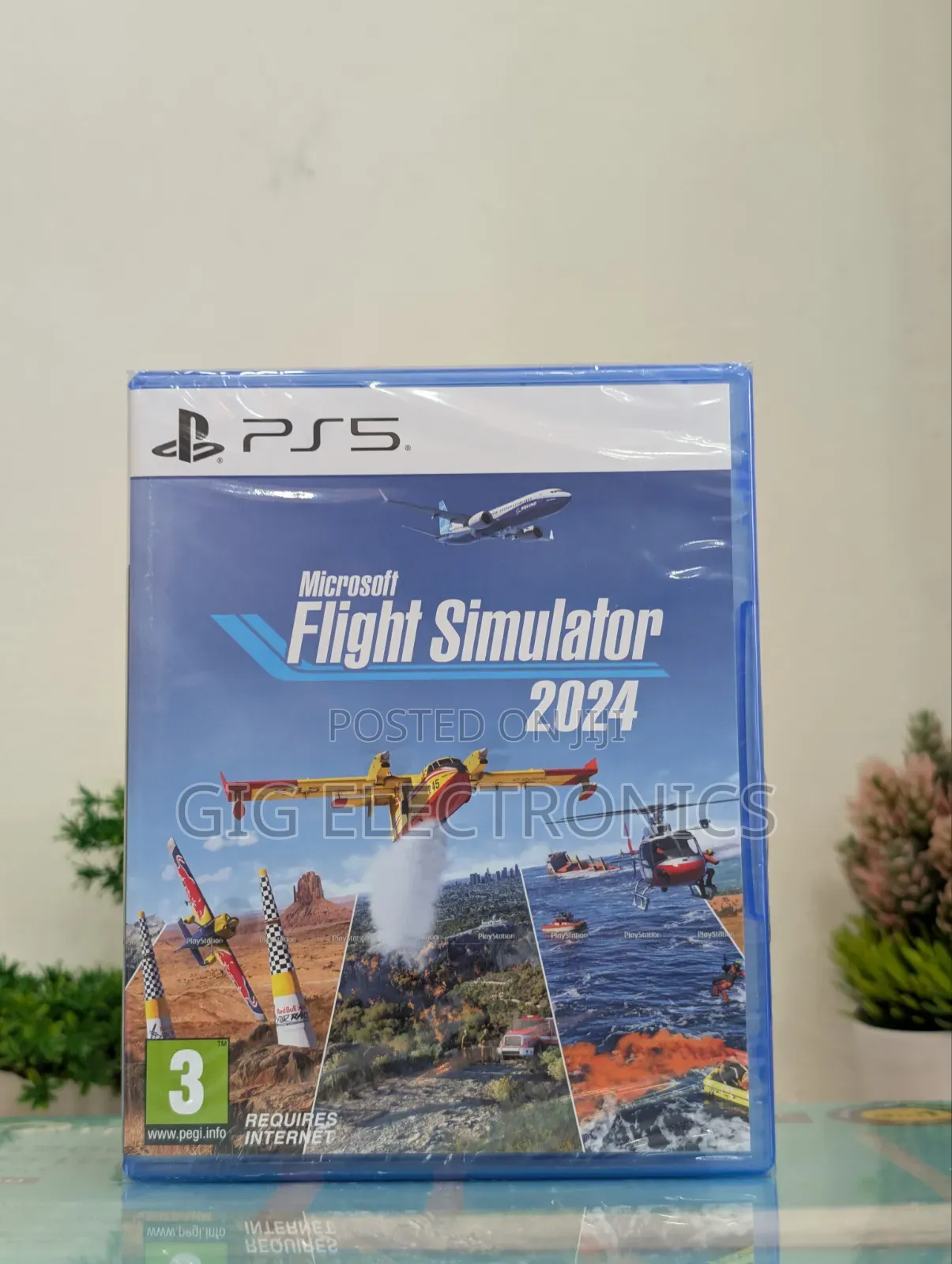 Flight Simulator 2024