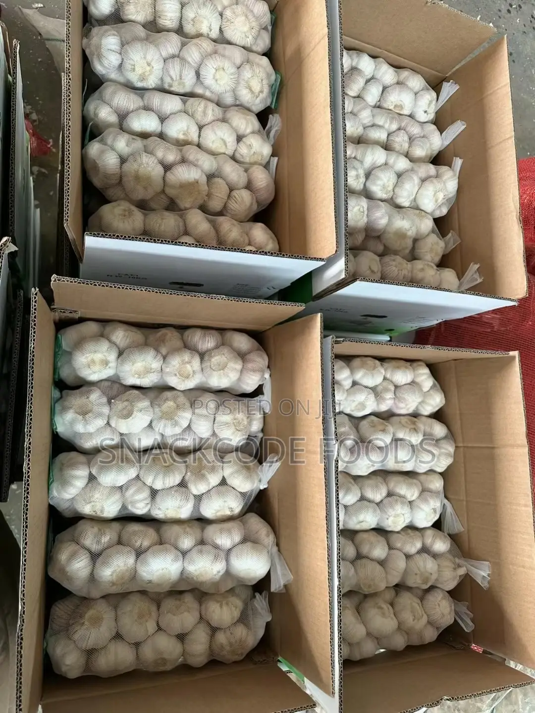 Fresh Garlic