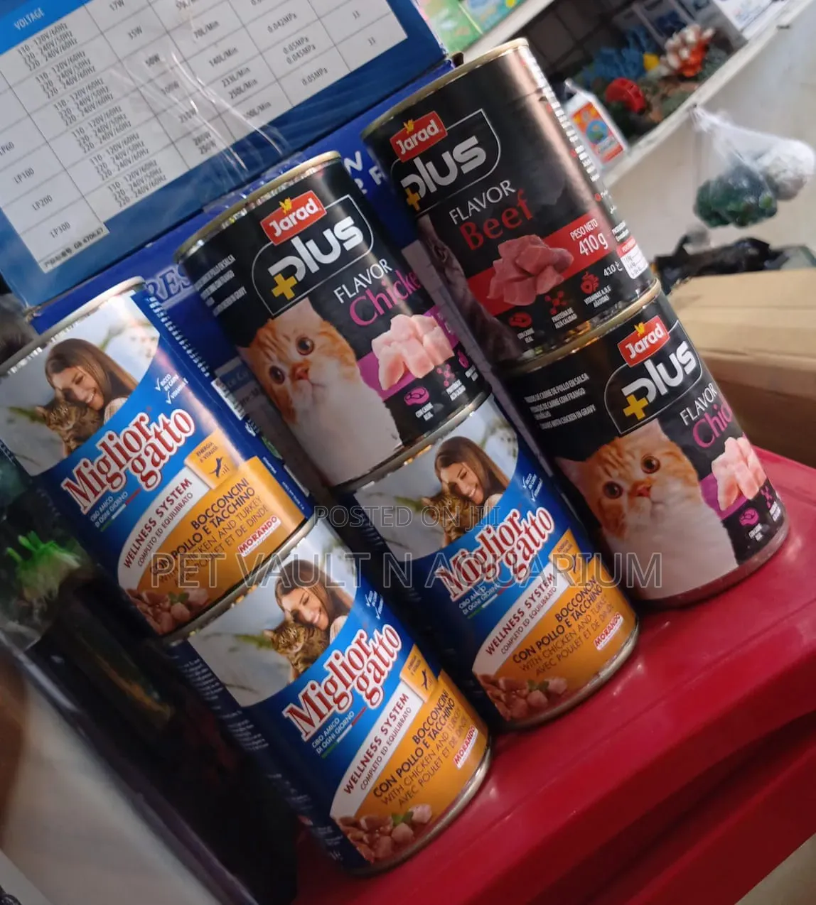 Miglior Gatto for All Cat Stages