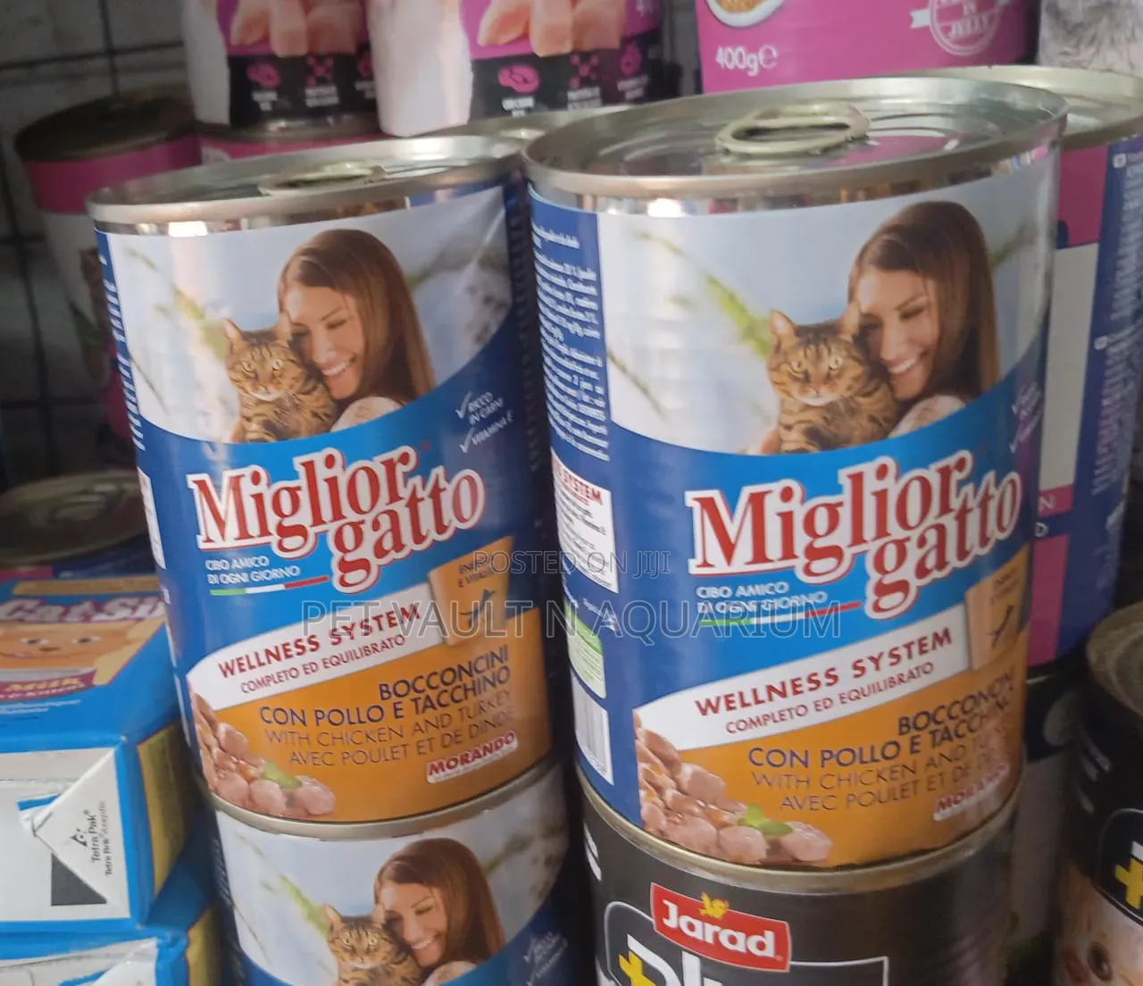 Miglior Gatto for All Cat Stages