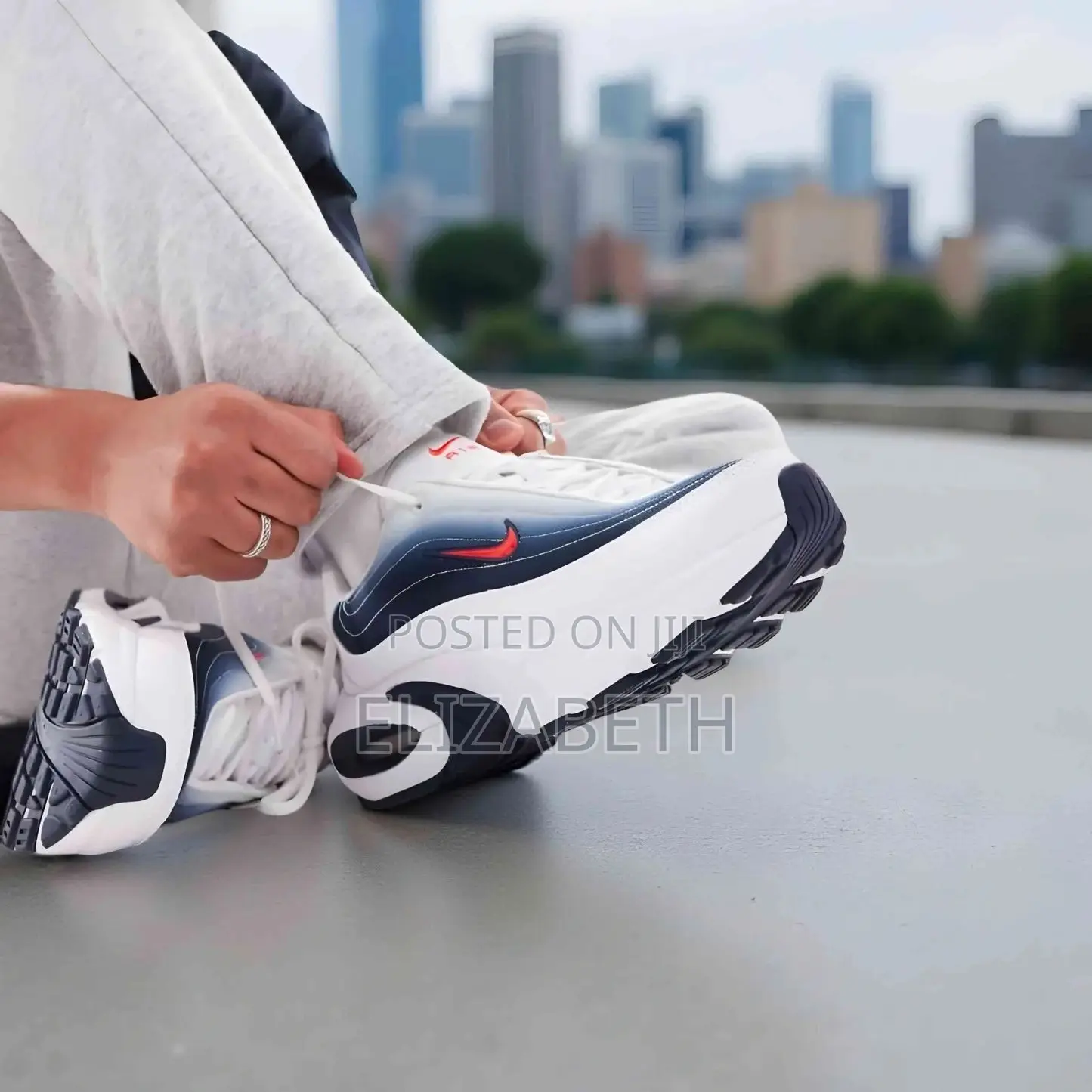 Nike Air Max Portal