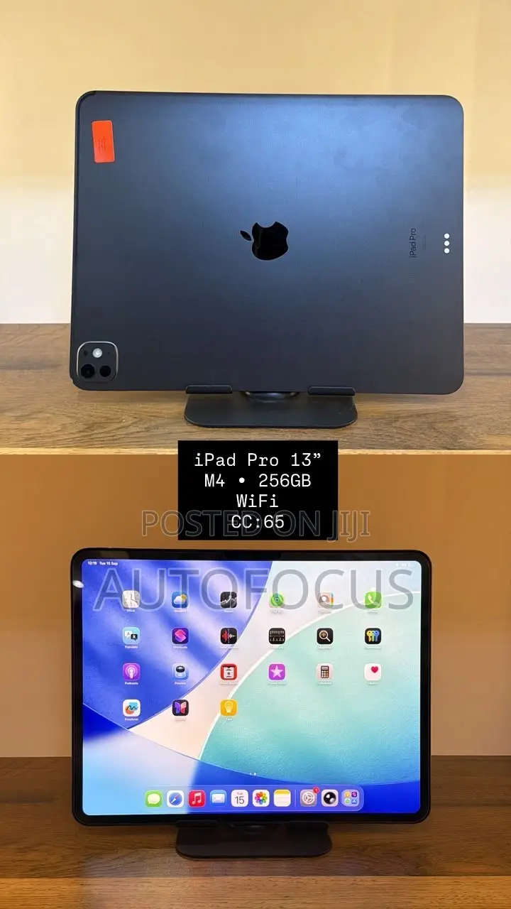 Apple iPad Pro 13 (2024) 256 GB Gray