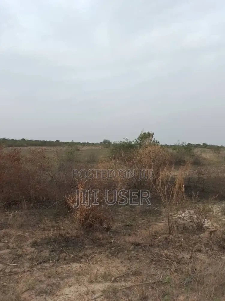 Farm Land for Sale