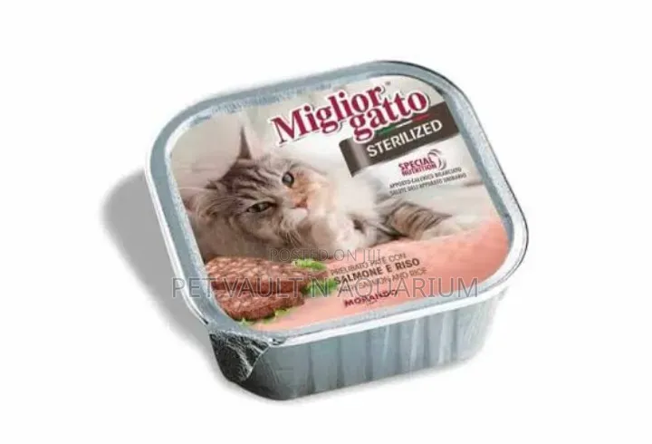 Miglior Cat Food