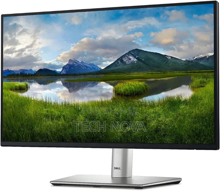 Dell 24 Monitor - P2422H - Full HD 1080p, IPS Technology