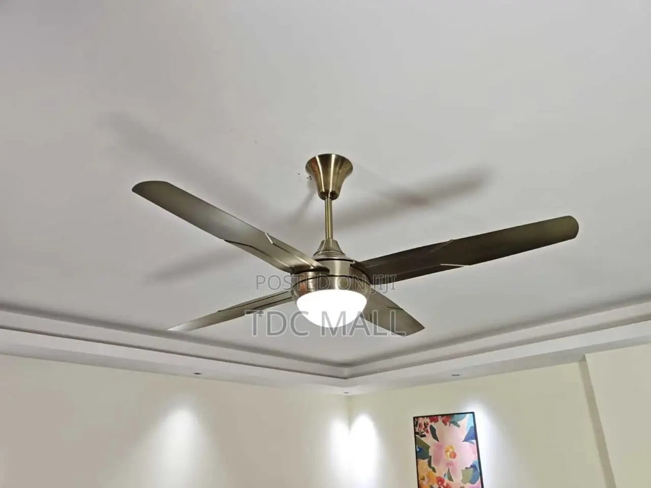 Modern Ceiling Fanlight With Remote - 4 Blades
