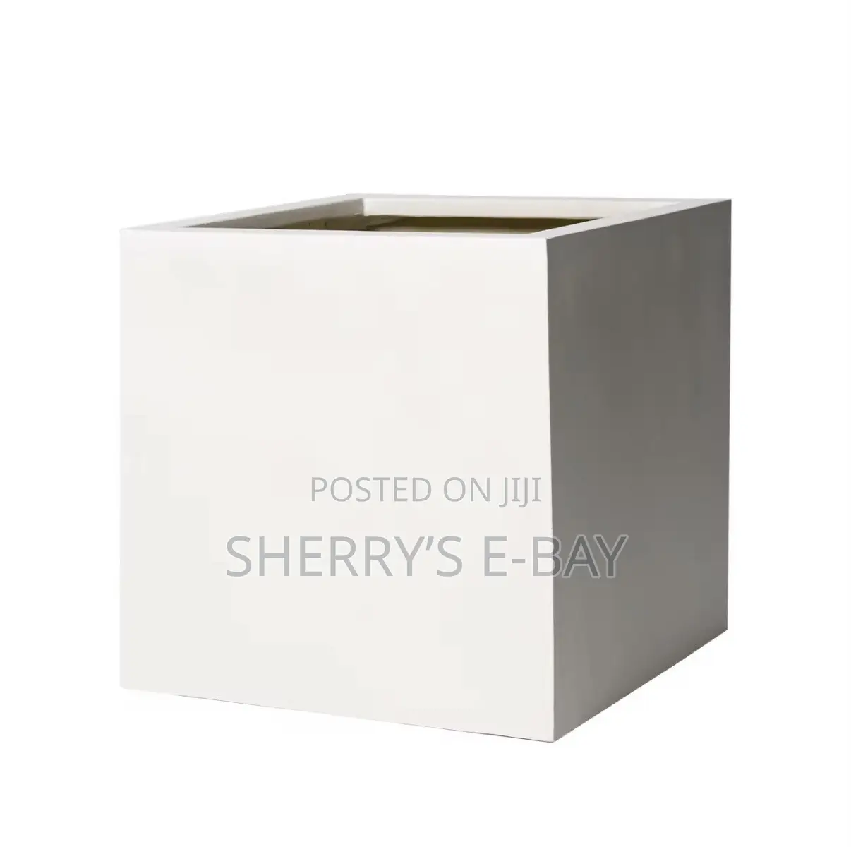 Artificial Water Ficus Plant(with Concrete Pot)