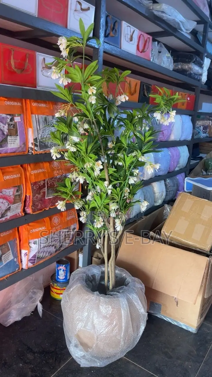 Artificial Water Ficus Plant(with Concrete Pot)