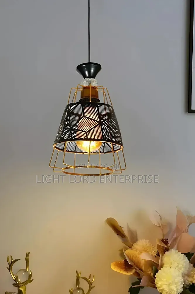 Zanik Shed 3in1 Pendant Light