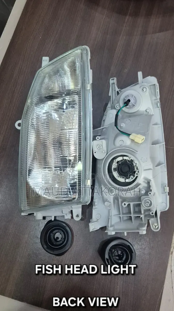 Toyota Fish Headlight