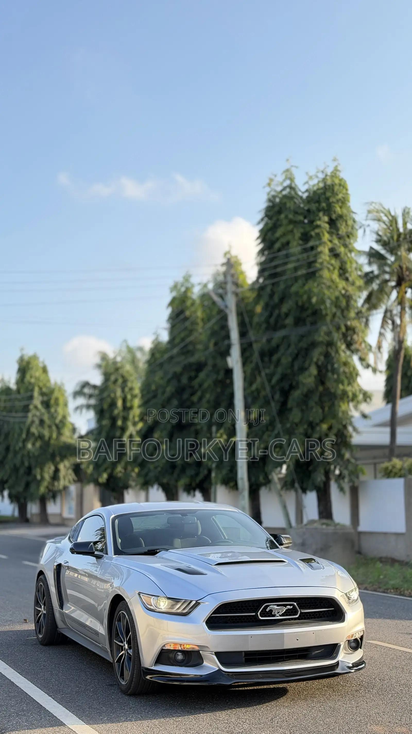 Ford Mustang 2016 Silver