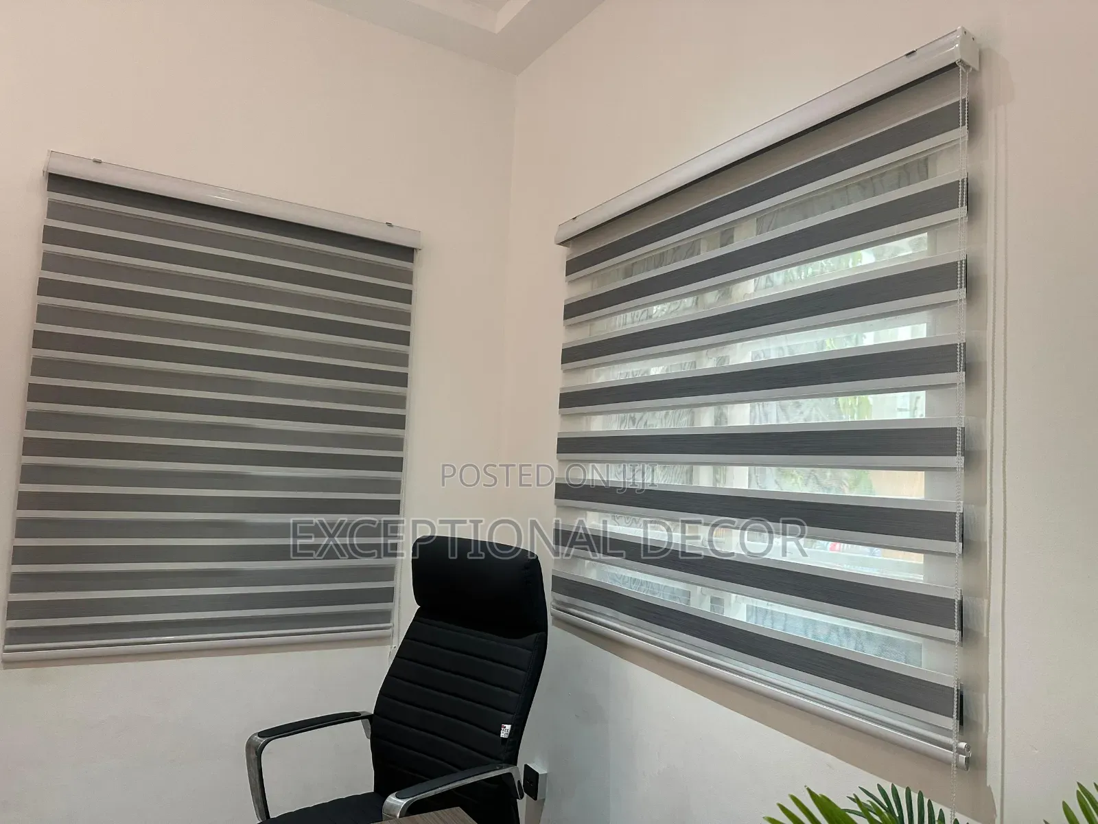 Window Blinds