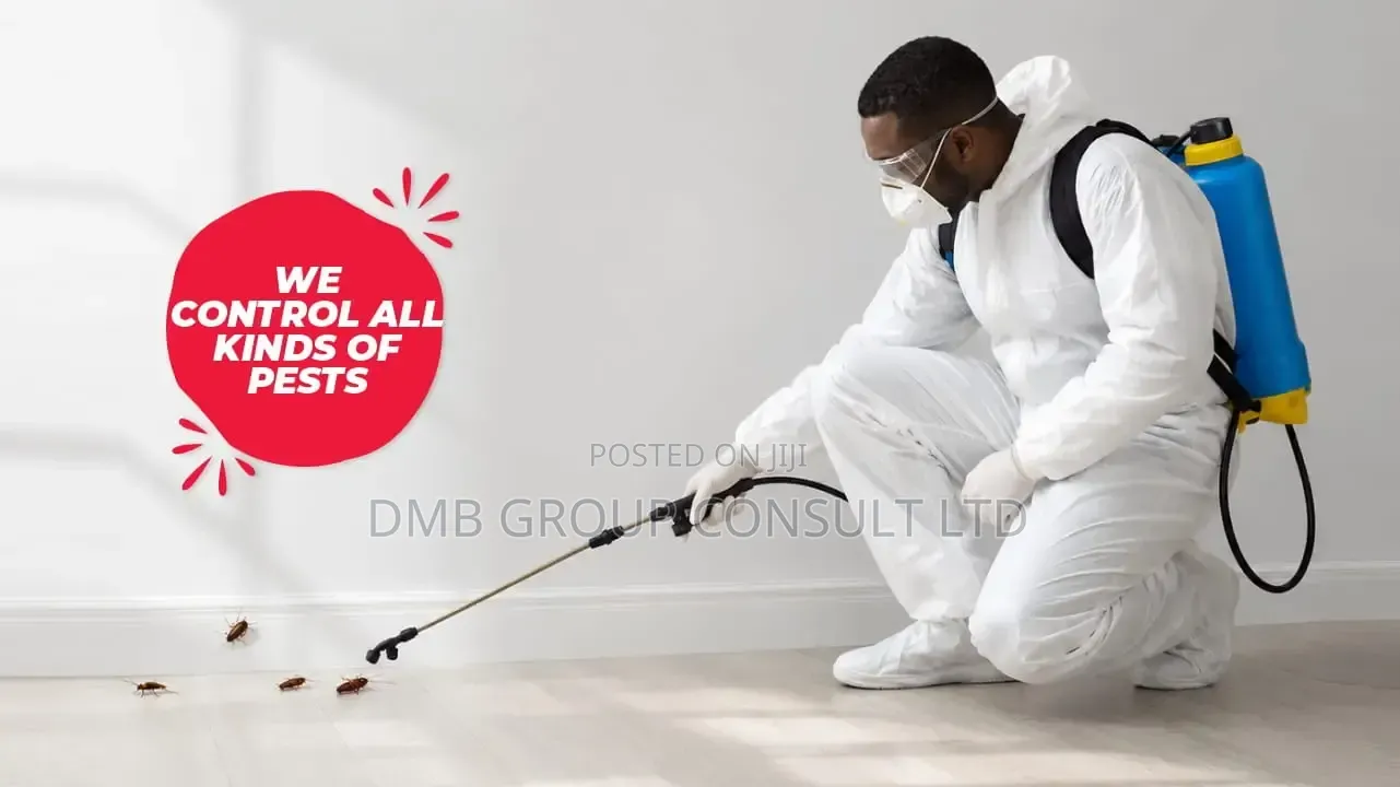 Fumigation 4u All