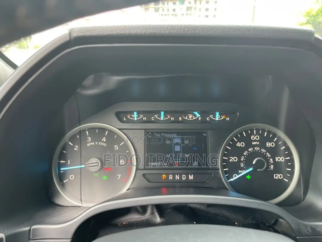 Ford F-150 XLT 4x4 Regular Cab Styleside 8 ft. box 141 in. WB 2019