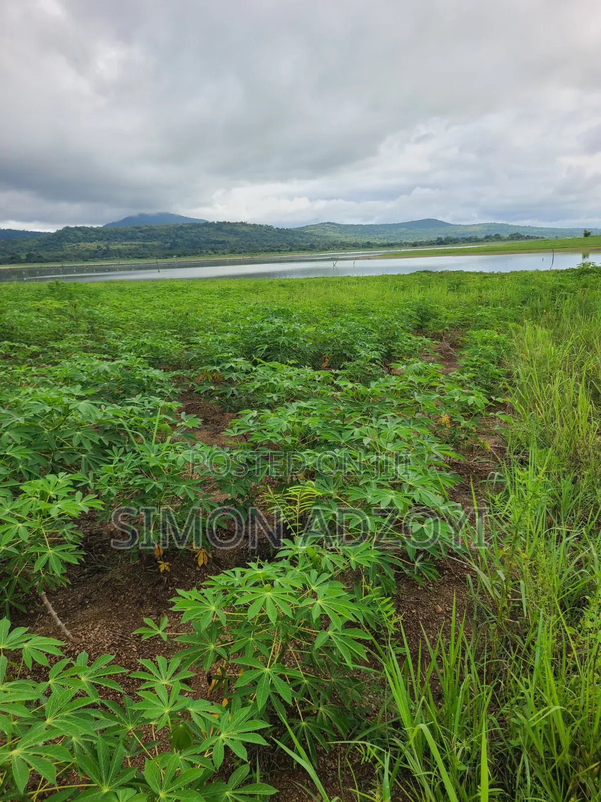 Registered 30,000 Acres of Farme Land Close to Water