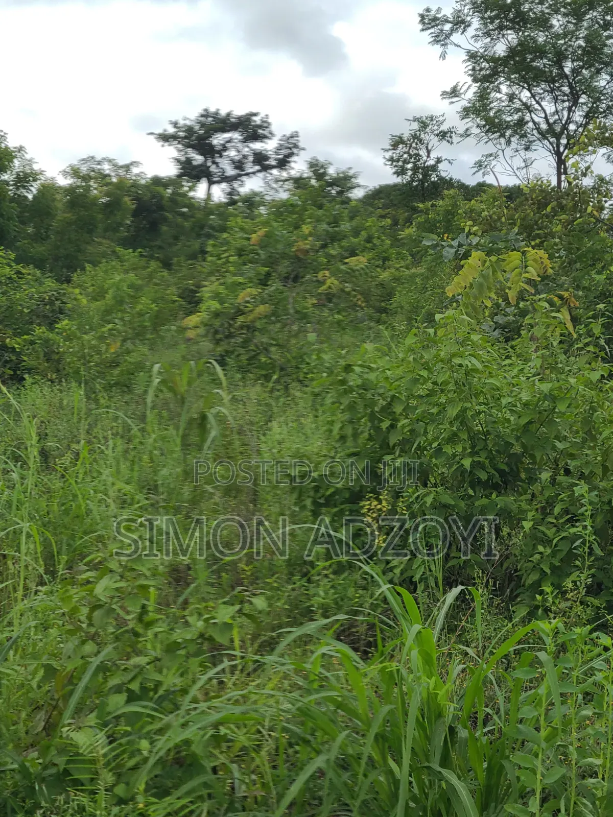 Registered 30,000 Acres of Farme Land Close to Water
