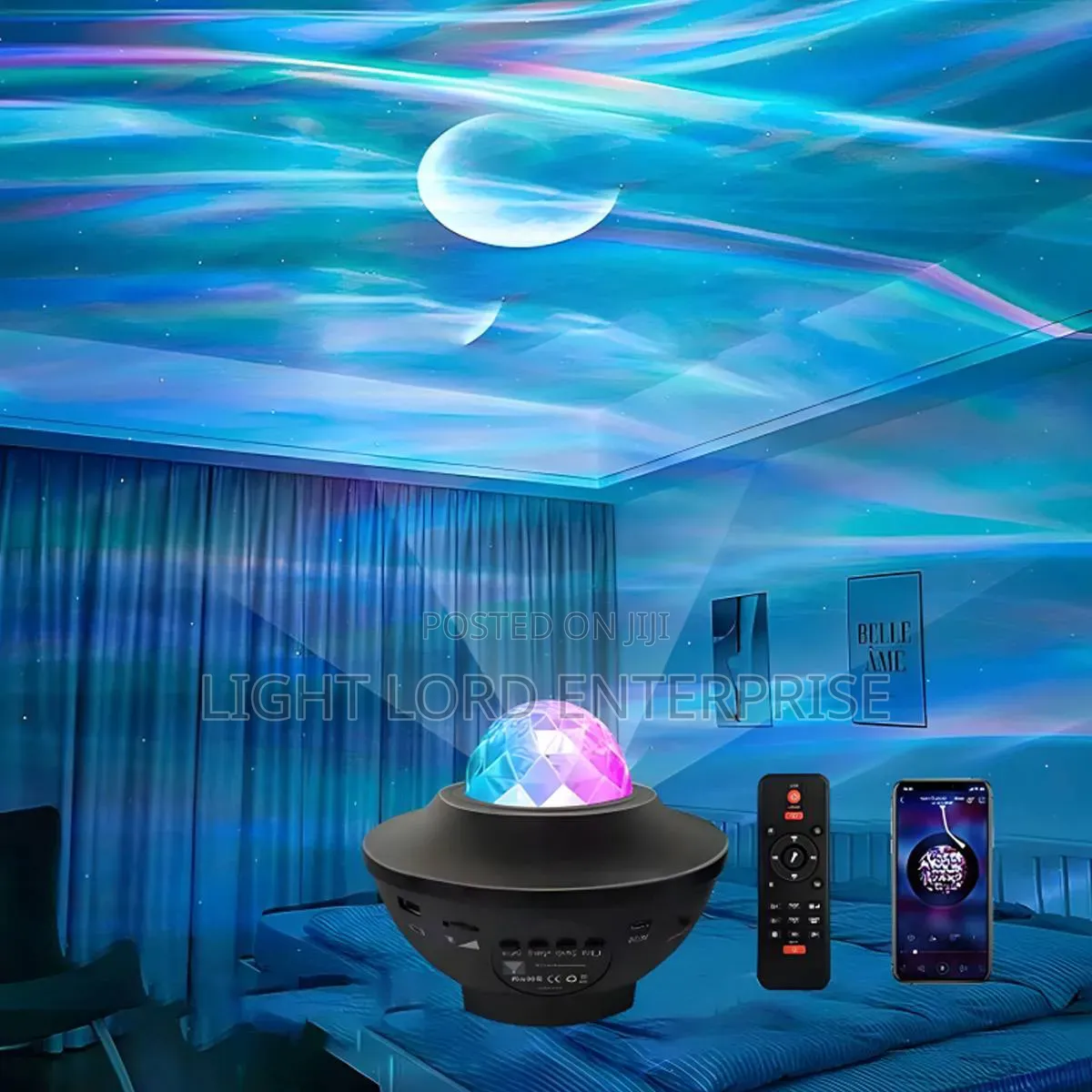 Ceiling Decor Starry Ball Light