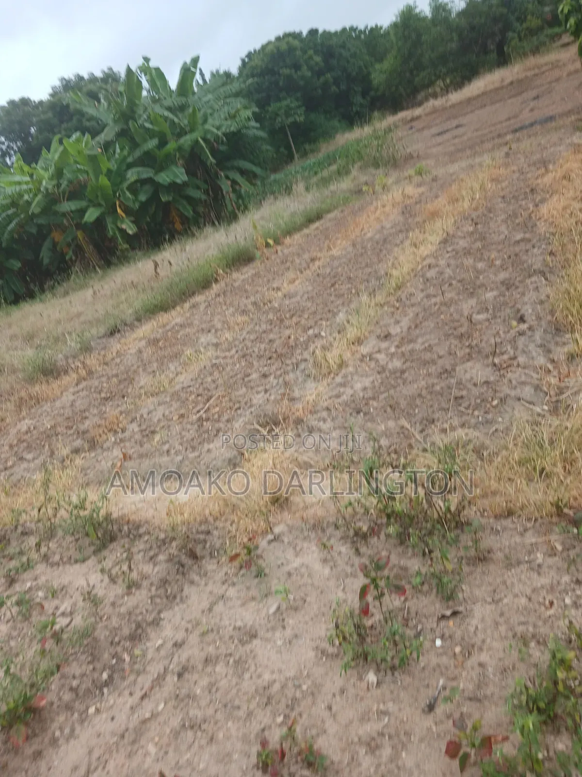 Land for Sale Airport