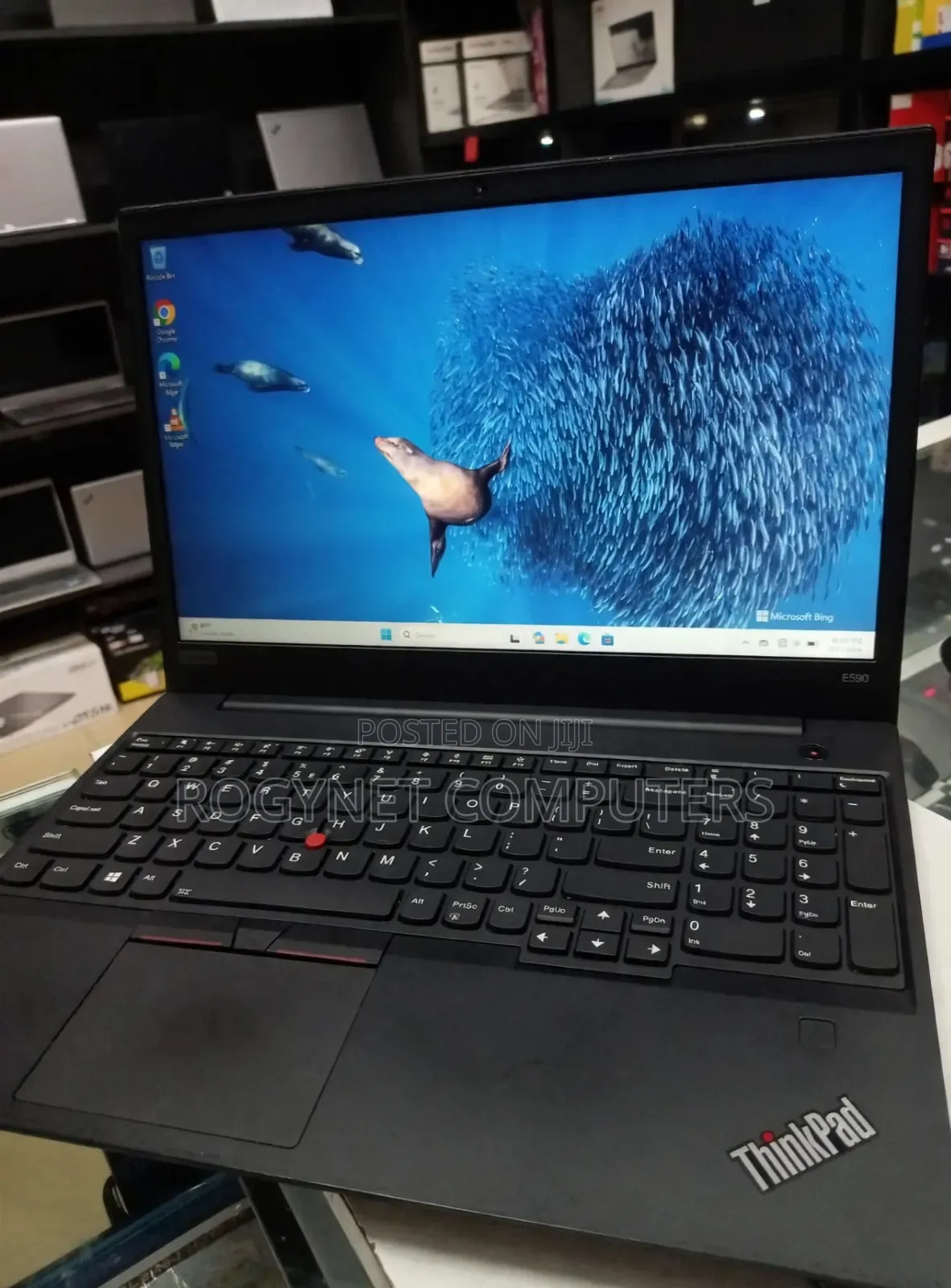 Laptop Lenovo 8GB Intel Core i5 SSD 256GB